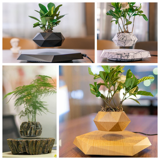 Elevate Your Décor with Levitating Pots and More from BlueHaven International