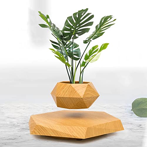 Real Wood Themed Floating Levitating & Rotating Pot- Defying Natural Gravity | Perfect Bonsai Planter | Unique Precious Lavish Gift | Home Office Livingroom Decor item | BlueHaven International