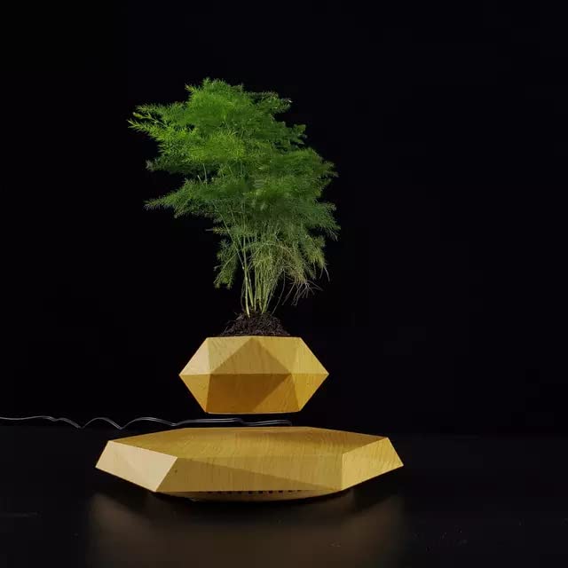 Real Wood Themed Floating Levitating & Rotating Pot- Defying Natural Gravity | Perfect Bonsai Planter | Unique Precious Lavish Gift | Home Office Livingroom Decor item | BlueHaven International