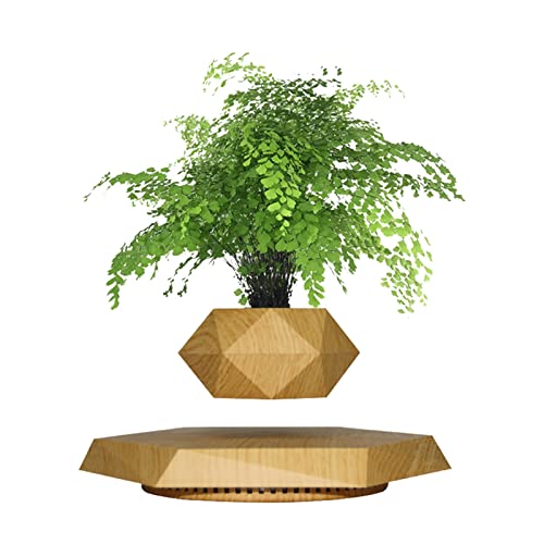 Real Wood Themed Floating Levitating & Rotating Pot- Defying Natural Gravity | Perfect Bonsai Planter | Unique Precious Lavish Gift | Home Office Livingroom Decor item | BlueHaven International