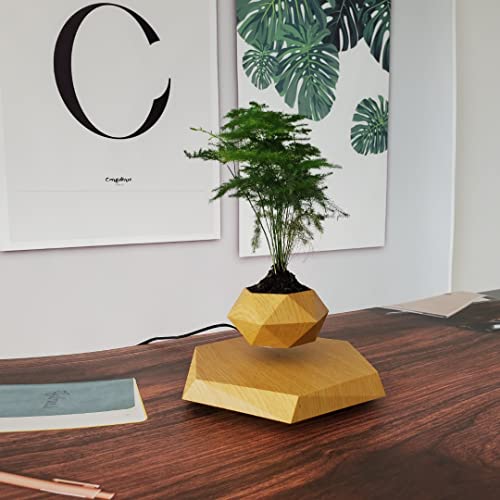 Real Wood Themed Floating Levitating & Rotating Pot- Defying Natural Gravity | Perfect Bonsai Planter | Unique Precious Lavish Gift | Home Office Livingroom Decor item | BlueHaven International