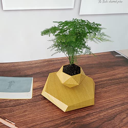 Real Wood Themed Floating Levitating & Rotating Pot- Defying Natural Gravity | Perfect Bonsai Planter | Unique Precious Lavish Gift | Home Office Livingroom Decor item | BlueHaven International