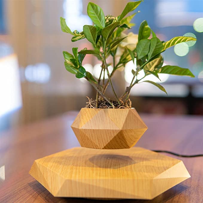 Real Wood Themed Floating Levitating & Rotating Pot- Defying Natural Gravity | Perfect Bonsai Planter | Unique Precious Lavish Gift | Home Office Livingroom Decor item | BlueHaven International