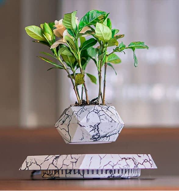 Sparkling White - Floating Levitating Rotating Plant Pot | Perfect Bonsai Planter | Unique Precious Lavish Gift and Decor item | BlueHaven International