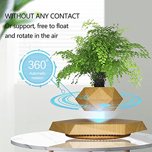 Real Wood Themed Floating Levitating & Rotating Pot- Defying Natural Gravity | Perfect Bonsai Planter | Unique Precious Lavish Gift | Home Office Livingroom Decor item | BlueHaven International